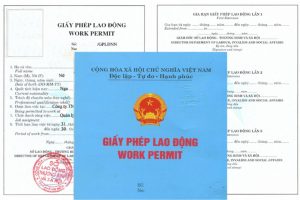 Công-văn-trả-giấy-phép-lao-động-:-Quy-trình-và-trách-nhiệm Công văn trả giấy phép lao động: Quy trình và trách nhiệm