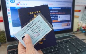 Thẻ-tạm-trú-có-thể-được-dùng-để-thay-thế-cho-visa Thẻ tạm trú có thể được dùng để thay thế cho visa